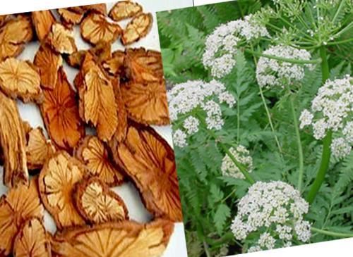 Ẩm thực giảm đau, chống nhức đầu trong kỳ kinh